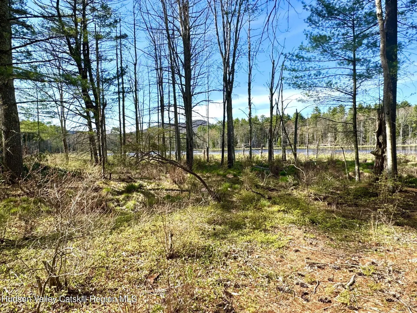 Current WMR listing photograph 1 of 1 for 547 Glenford-Wittenberg Road, Bearsville, New York.