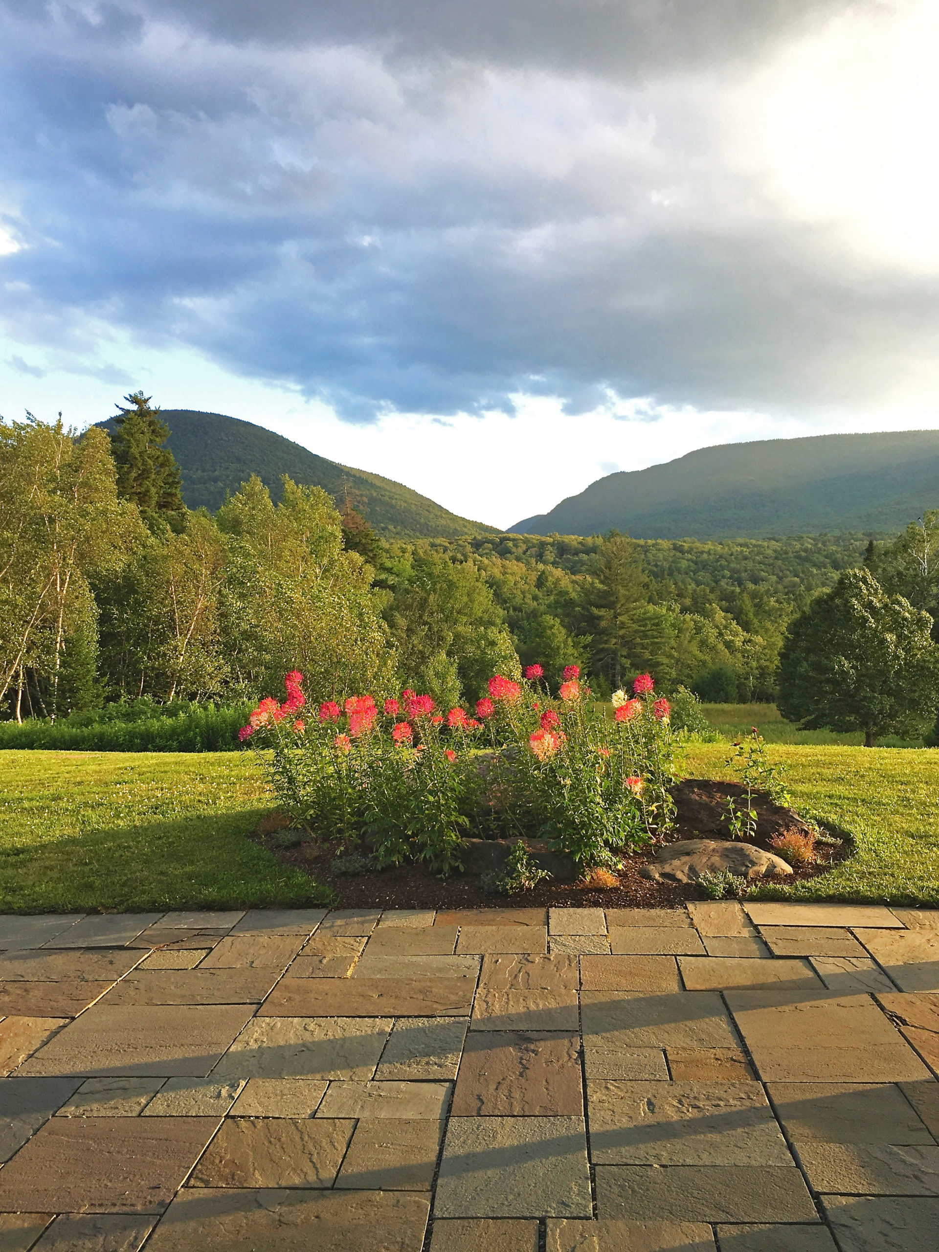 Home Win Morrison Realty